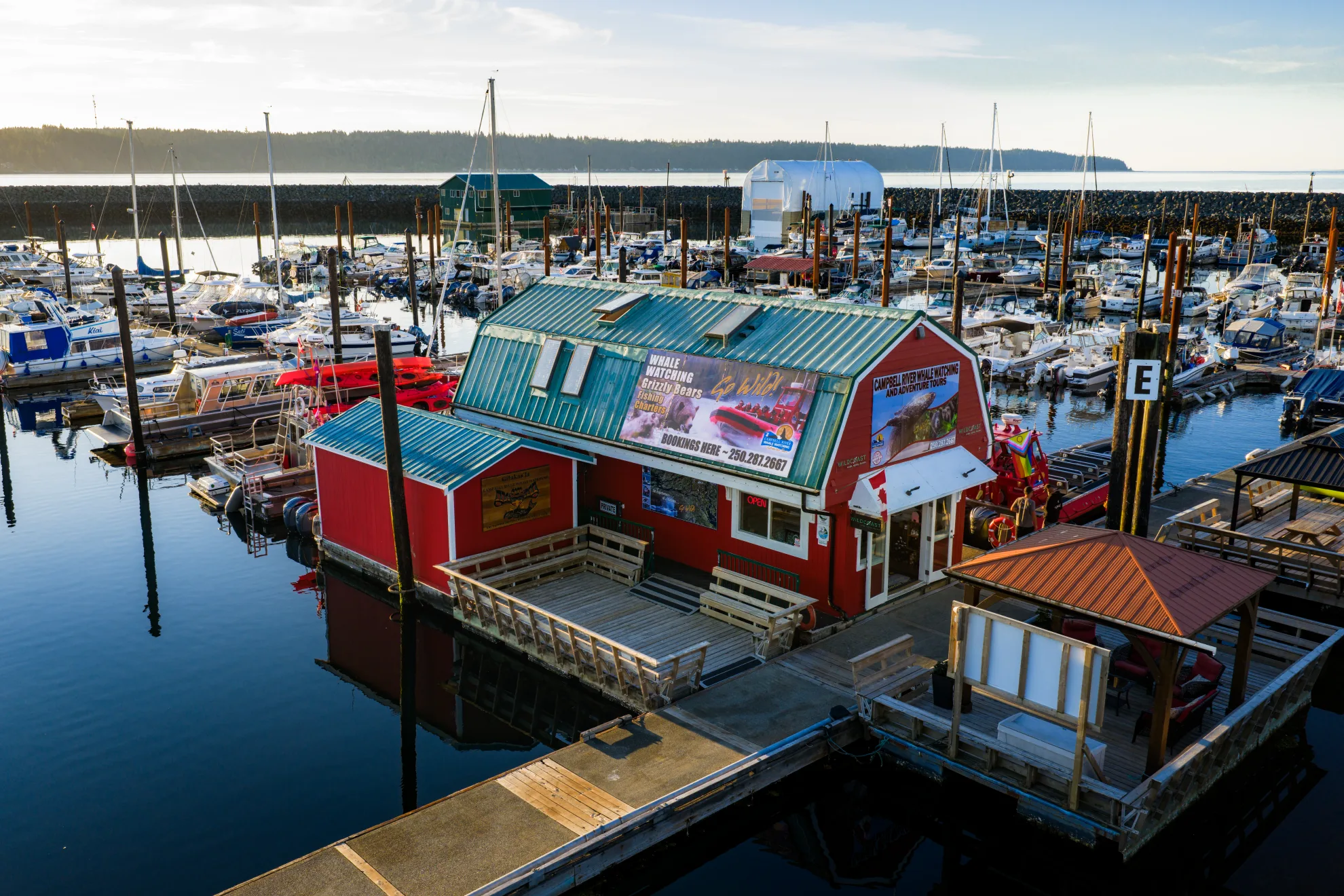 Campbell River Whale Watching & Adventure Tours